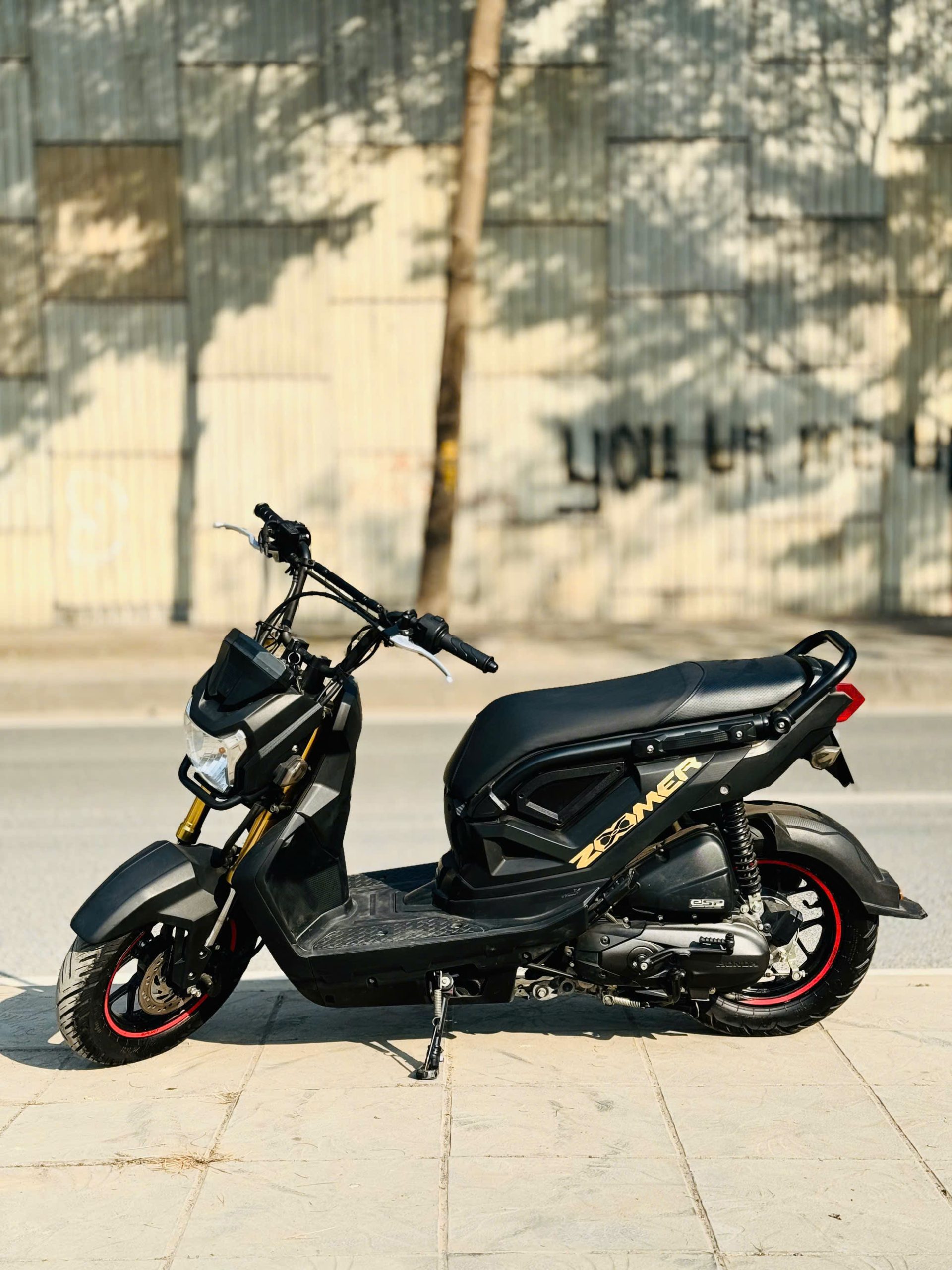 Honda Zoomer 110 2019 29C1-755.59