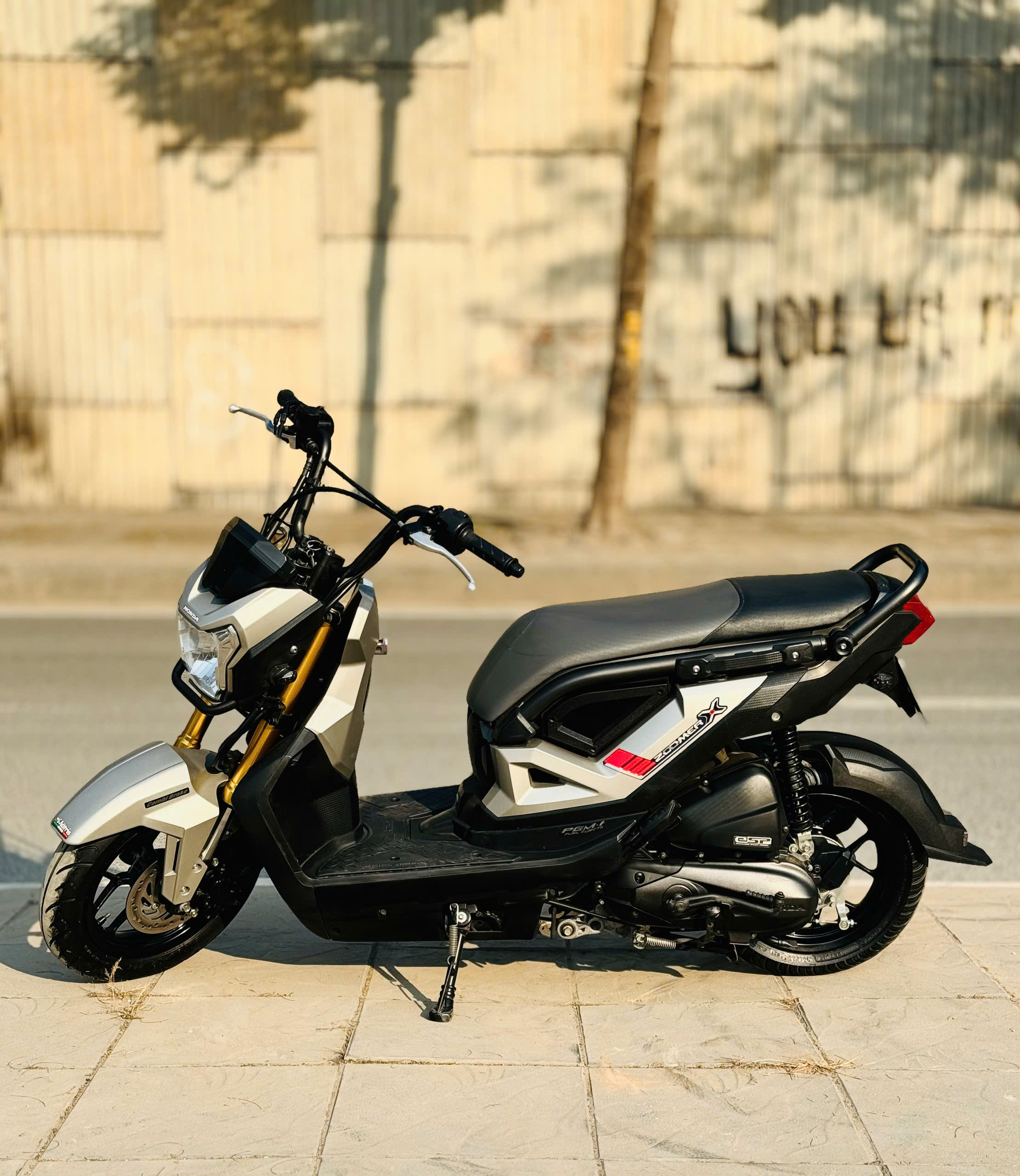 Honda Zoomer 110 2019 29C1-762.10