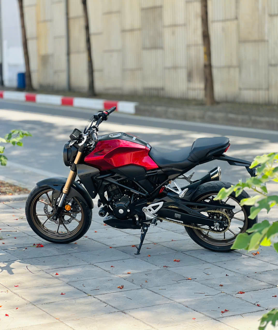 Honda CB 300r 2019 29A1_043.52