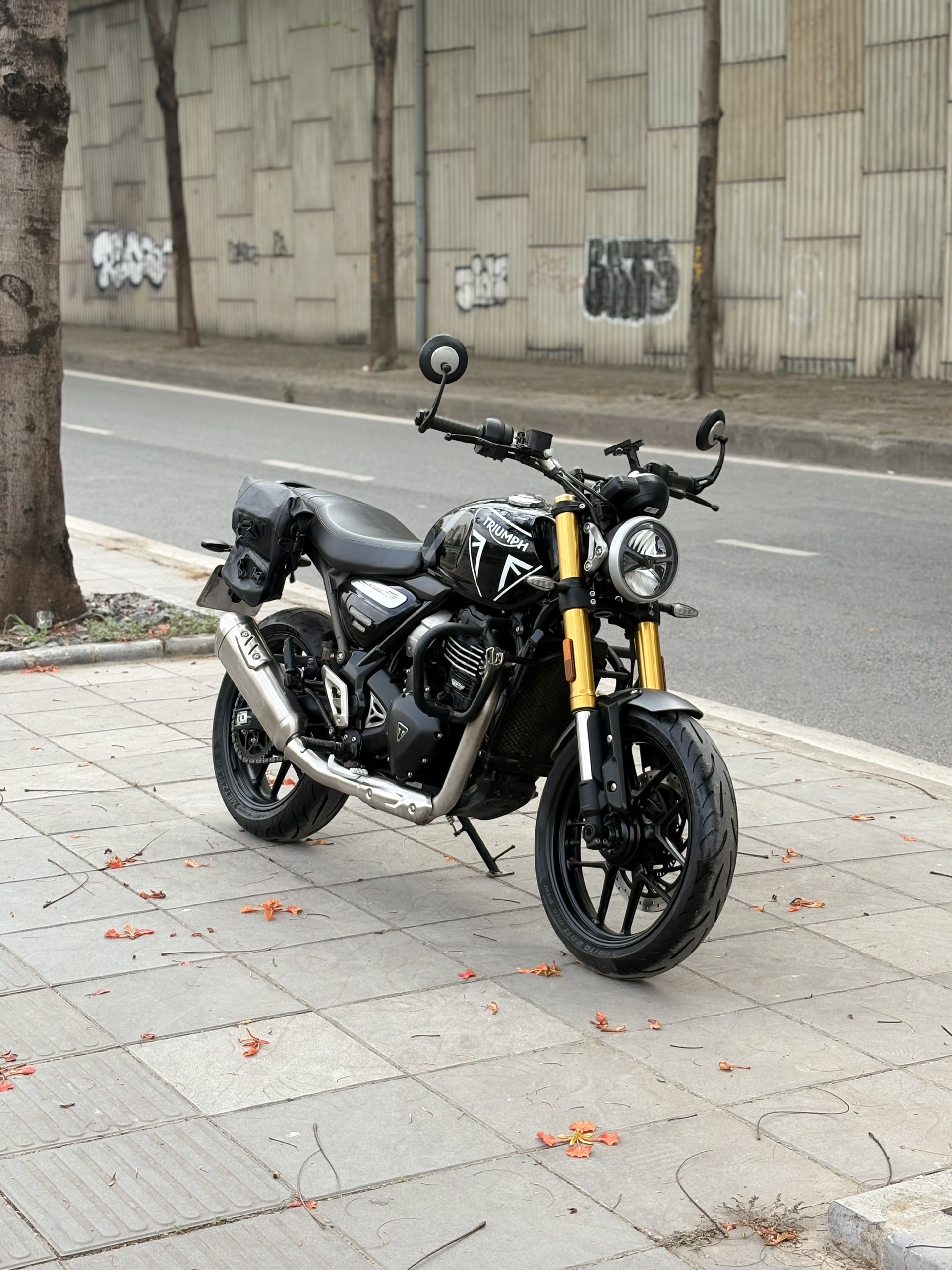 triumph speed 400 2024 đang thu hồi - Image 2