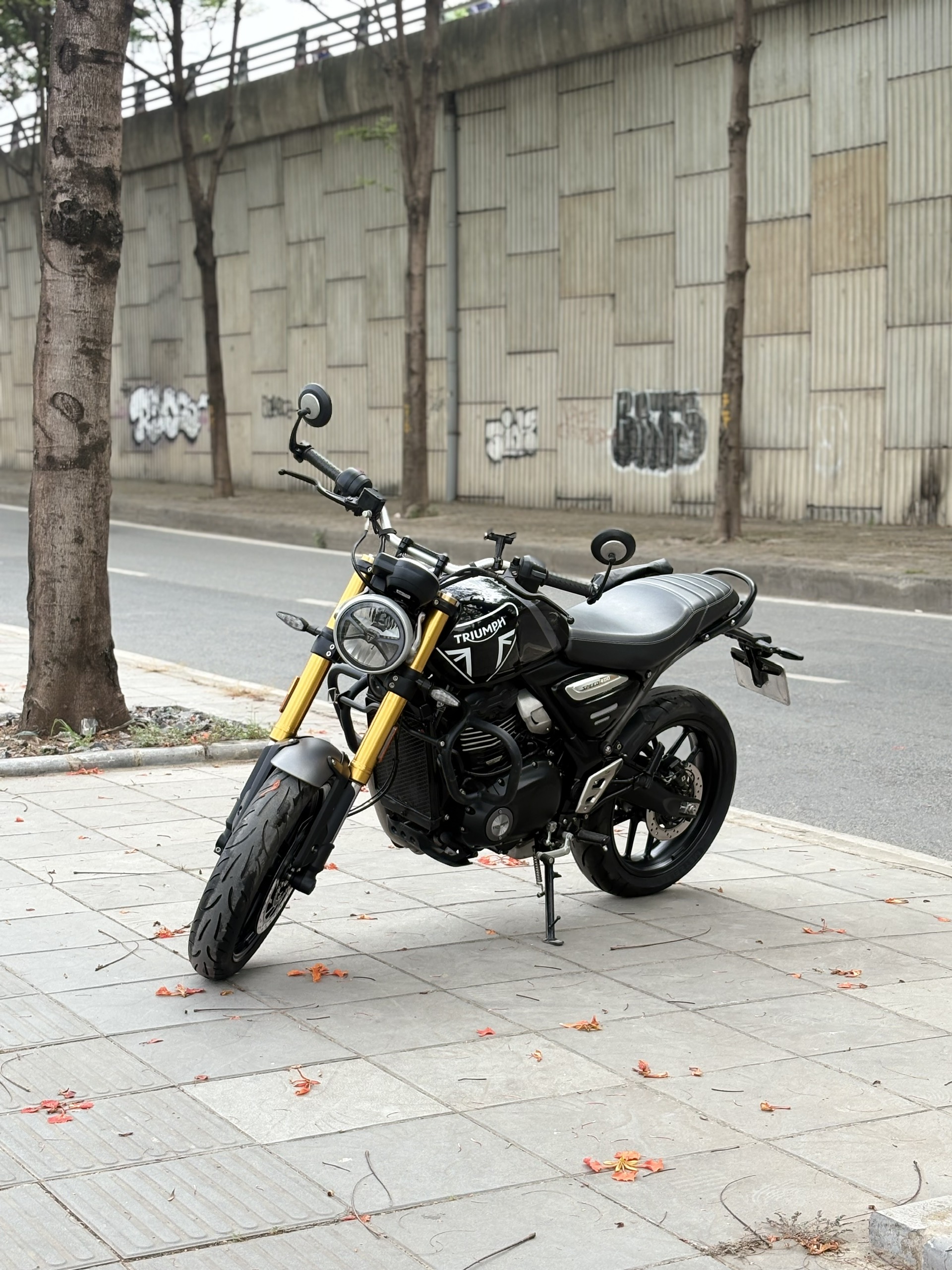 triumph speed 400 2024 đang thu hồi - Image 3