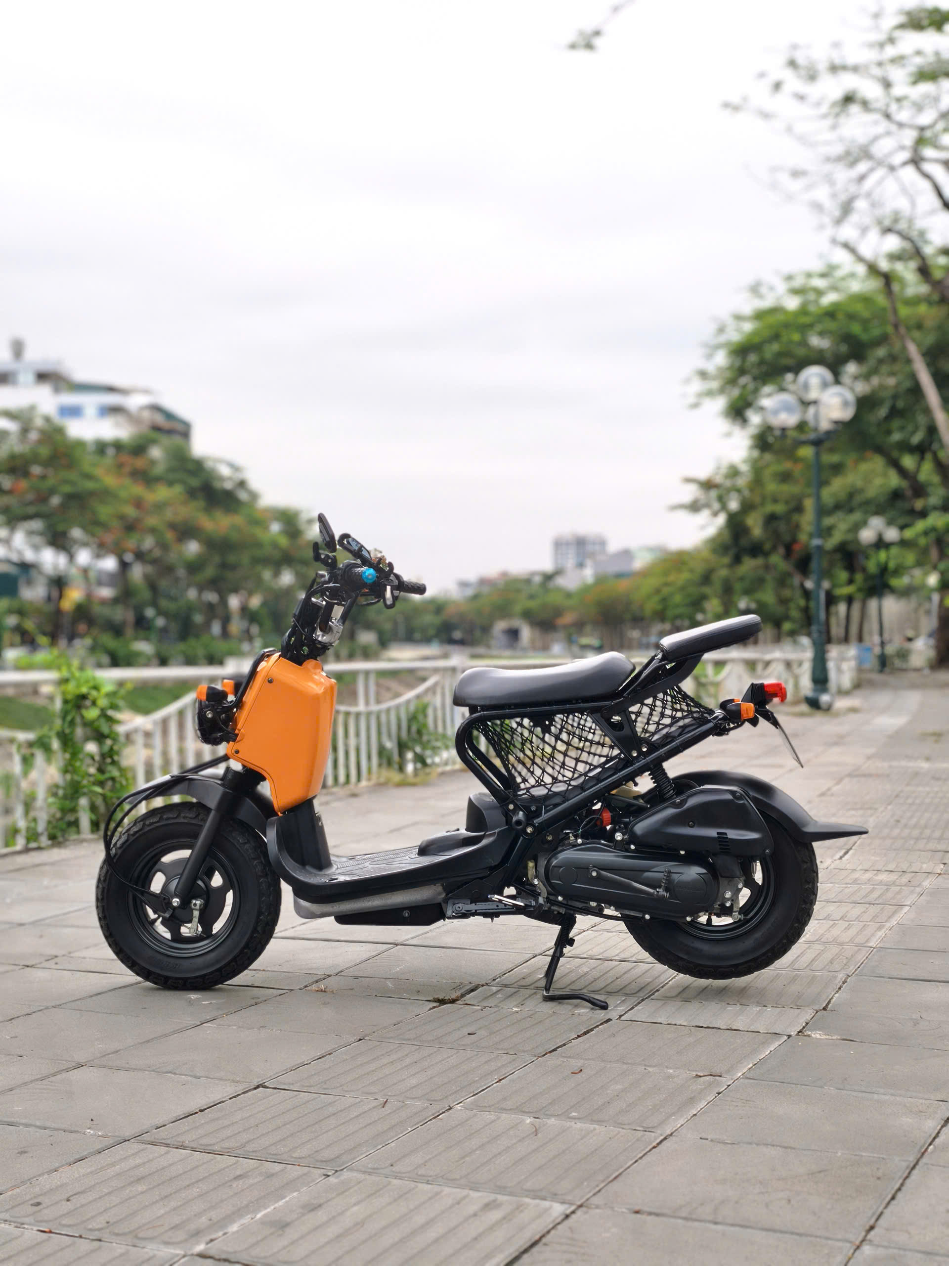 honda zoomer 50 2024 29BG-021.70