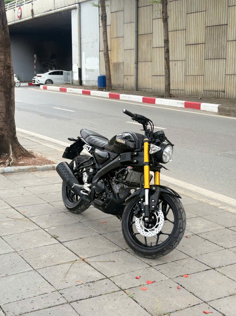 yamaha Xsr 155 2024 29BK_102.73 - Image 3