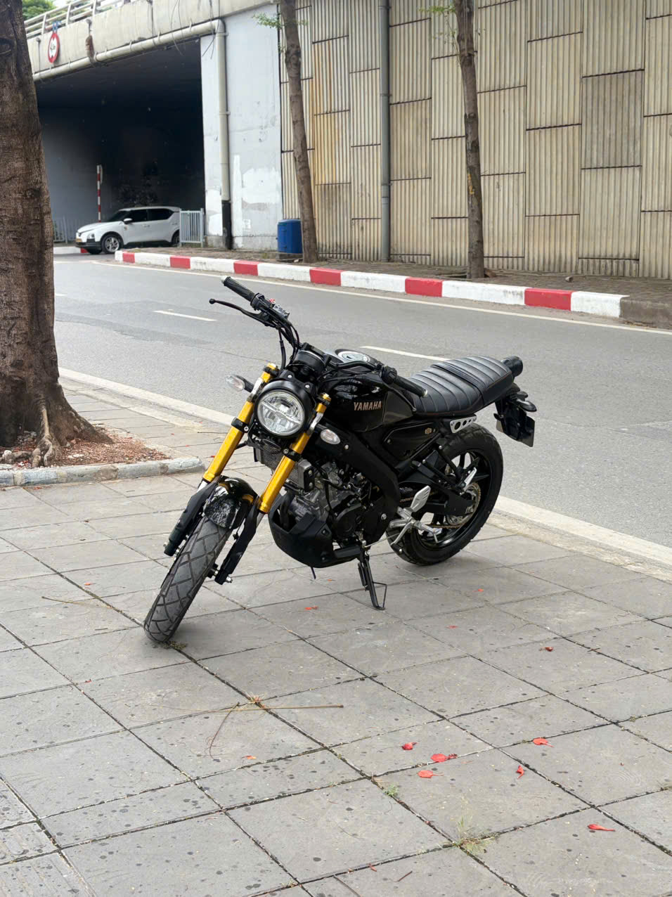 yamaha Xsr 155 2024 29BK_102.73 - Image 2