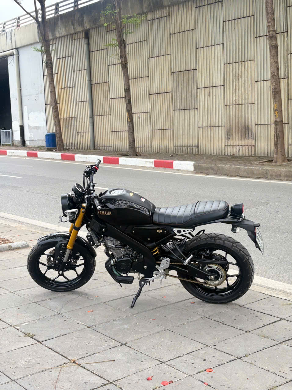 yamaha Xsr 155 2024 29BK_102.73