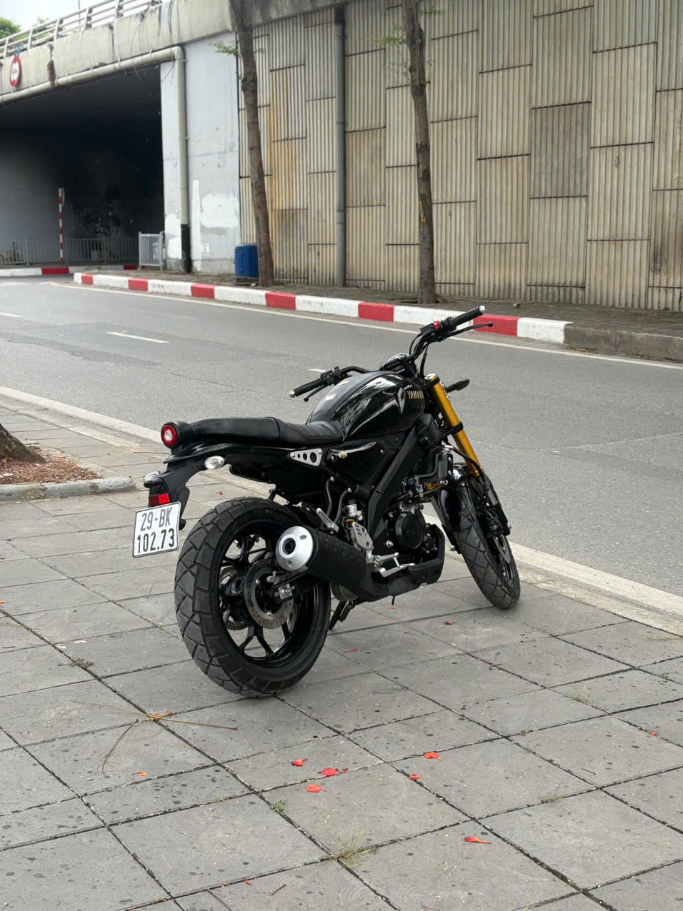 yamaha Xsr 155 2024 29BK_102.73 - Image 6