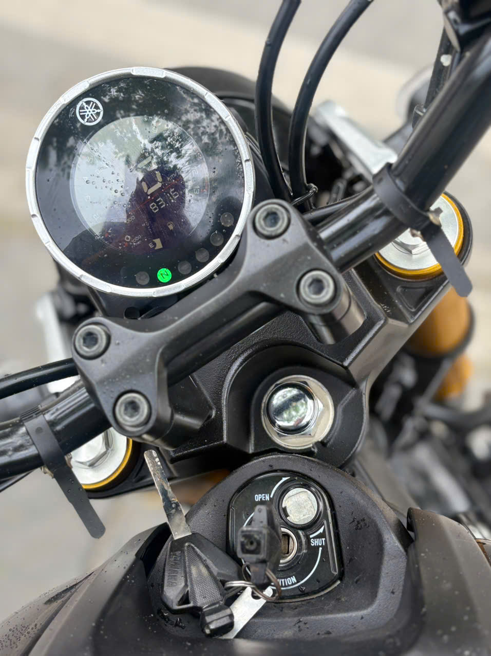 yamaha Xsr 155 2024 29BK_102.73 - Image 7