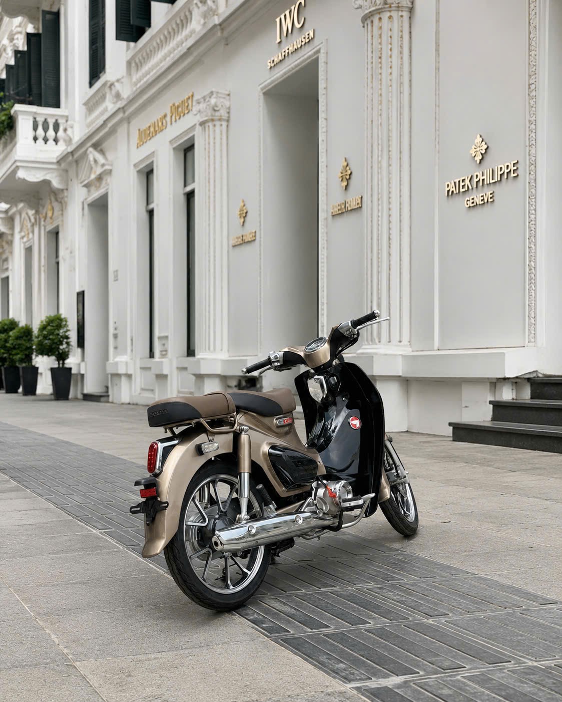 Honda cub 125 màu nâu đen giá liên hệ - Image 3