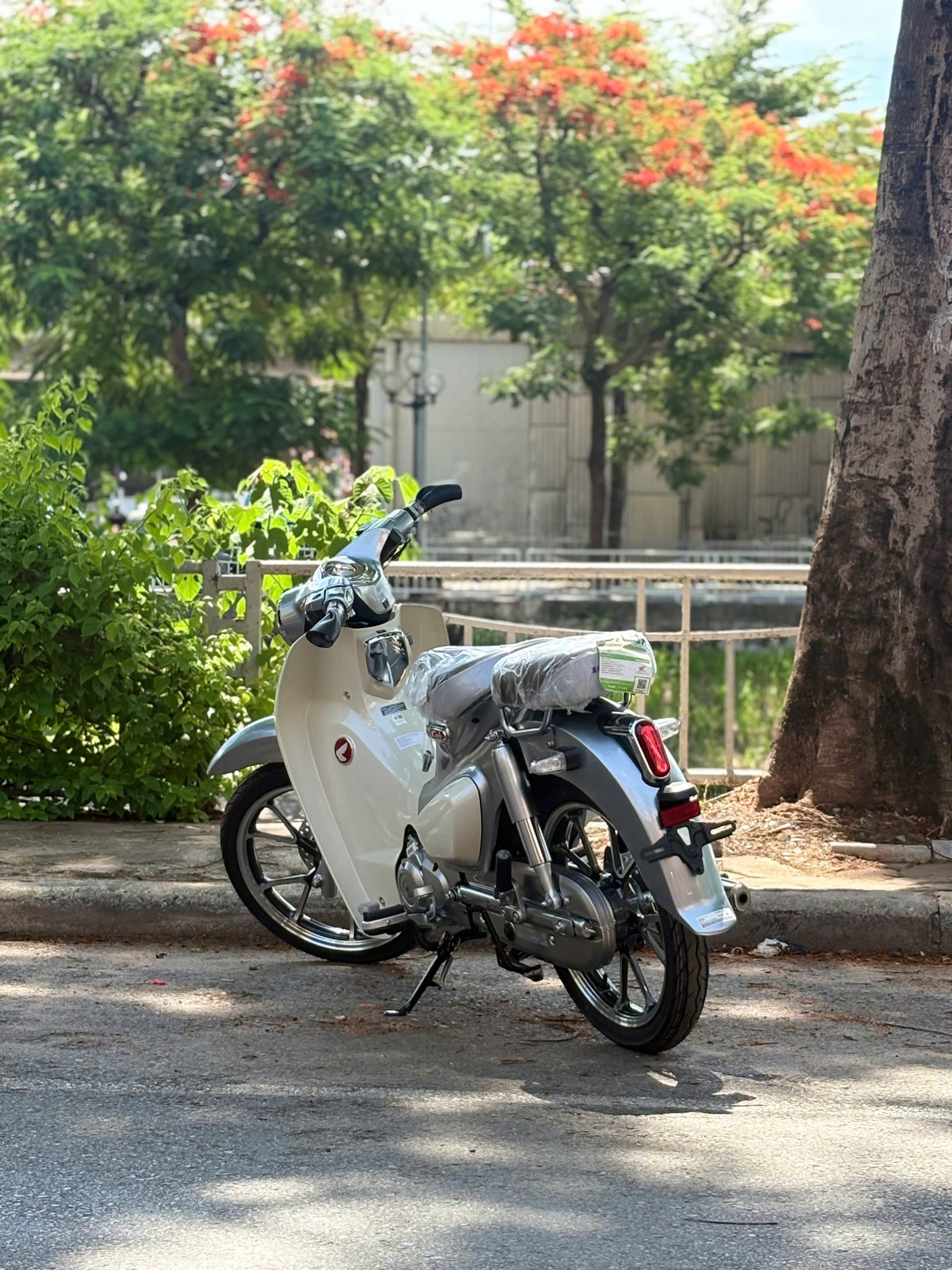 honda cub xám abs 2026 giá liên hệ - Image 6