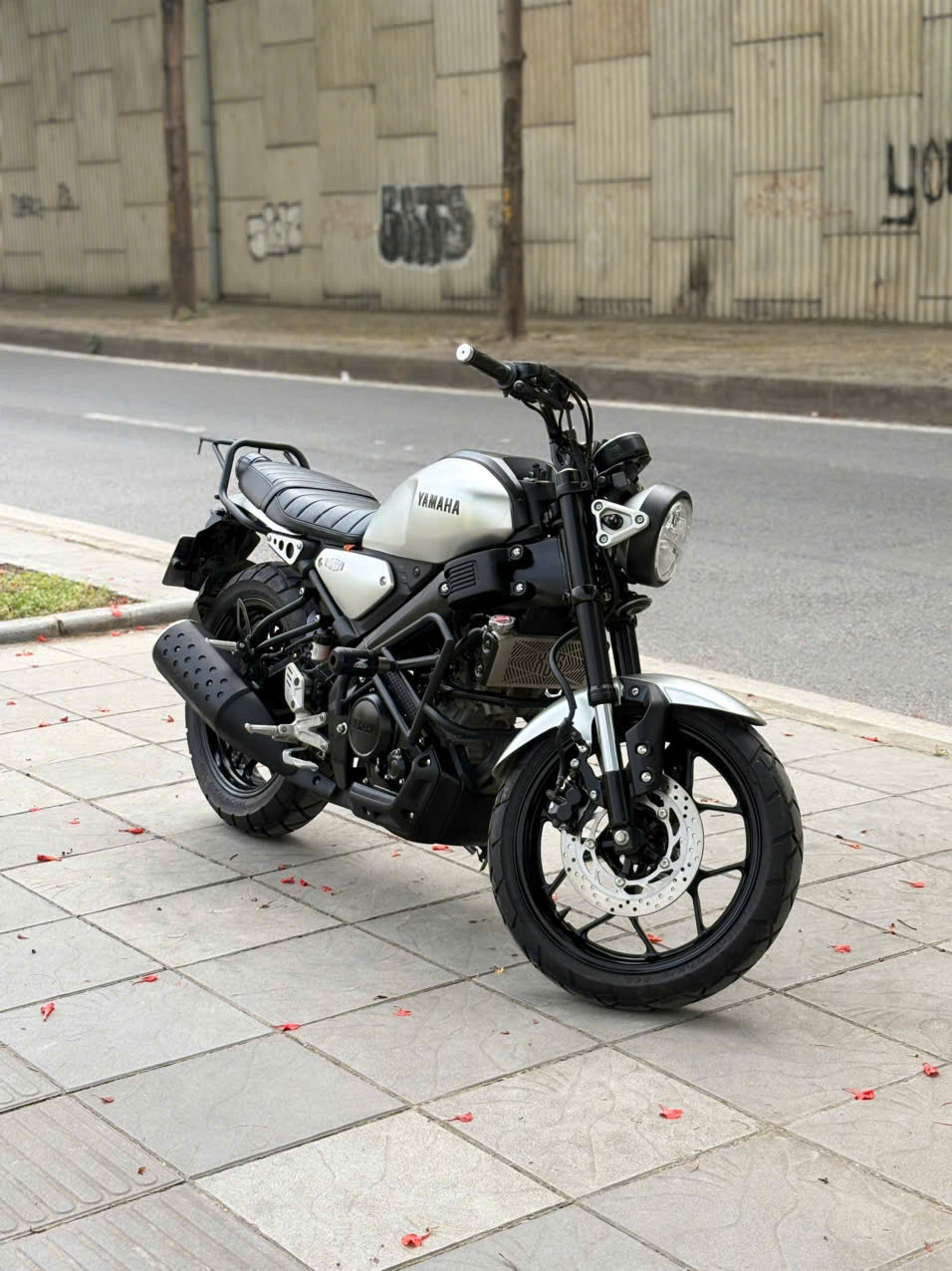 Yamaha_XSR_155 • Biển số: #29Y3_706.02 • Dung tích: 155cc • Đăng ký: 2024 - Image 3