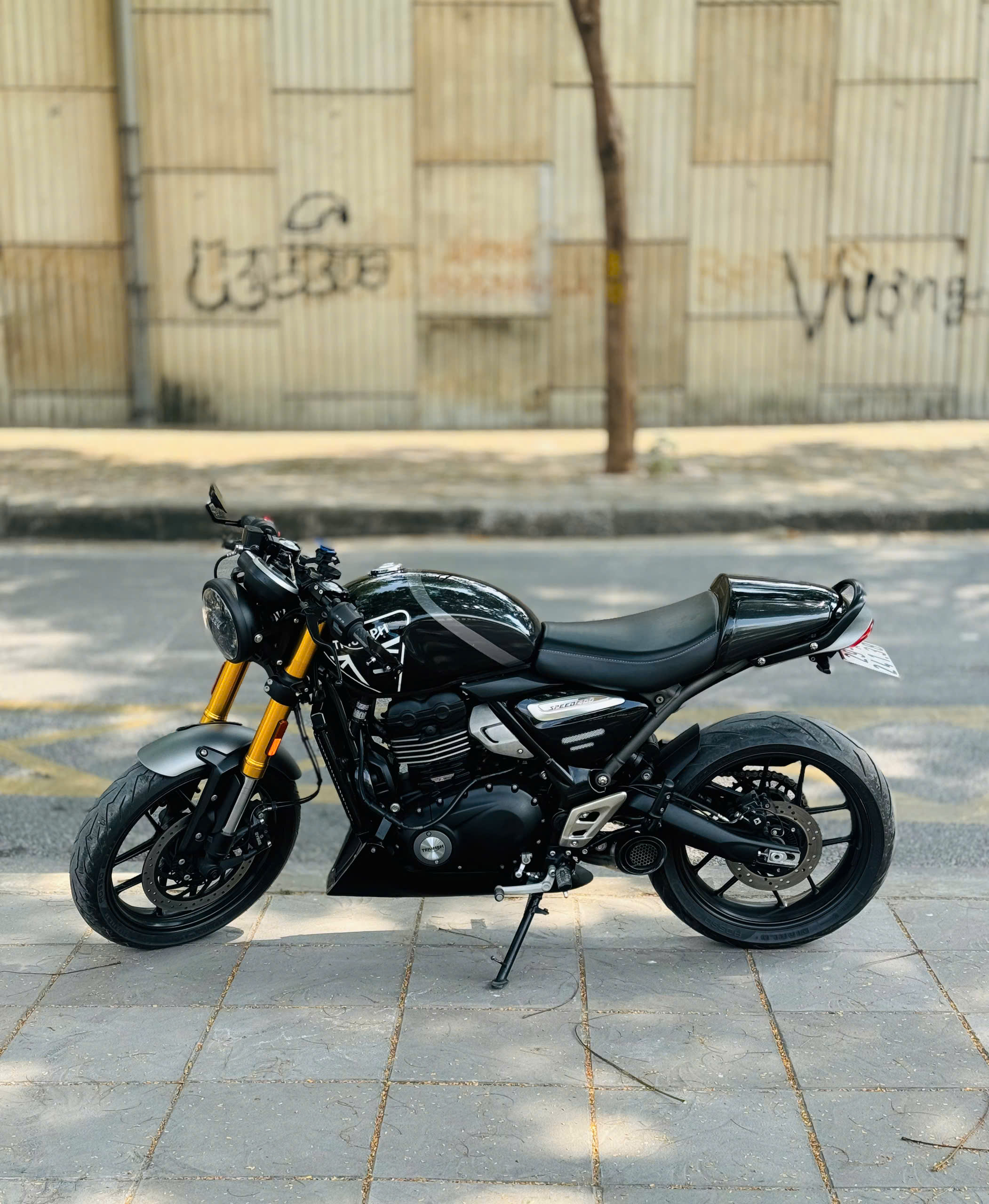 Triumph speed 400 - 2024  29A1-241.38
