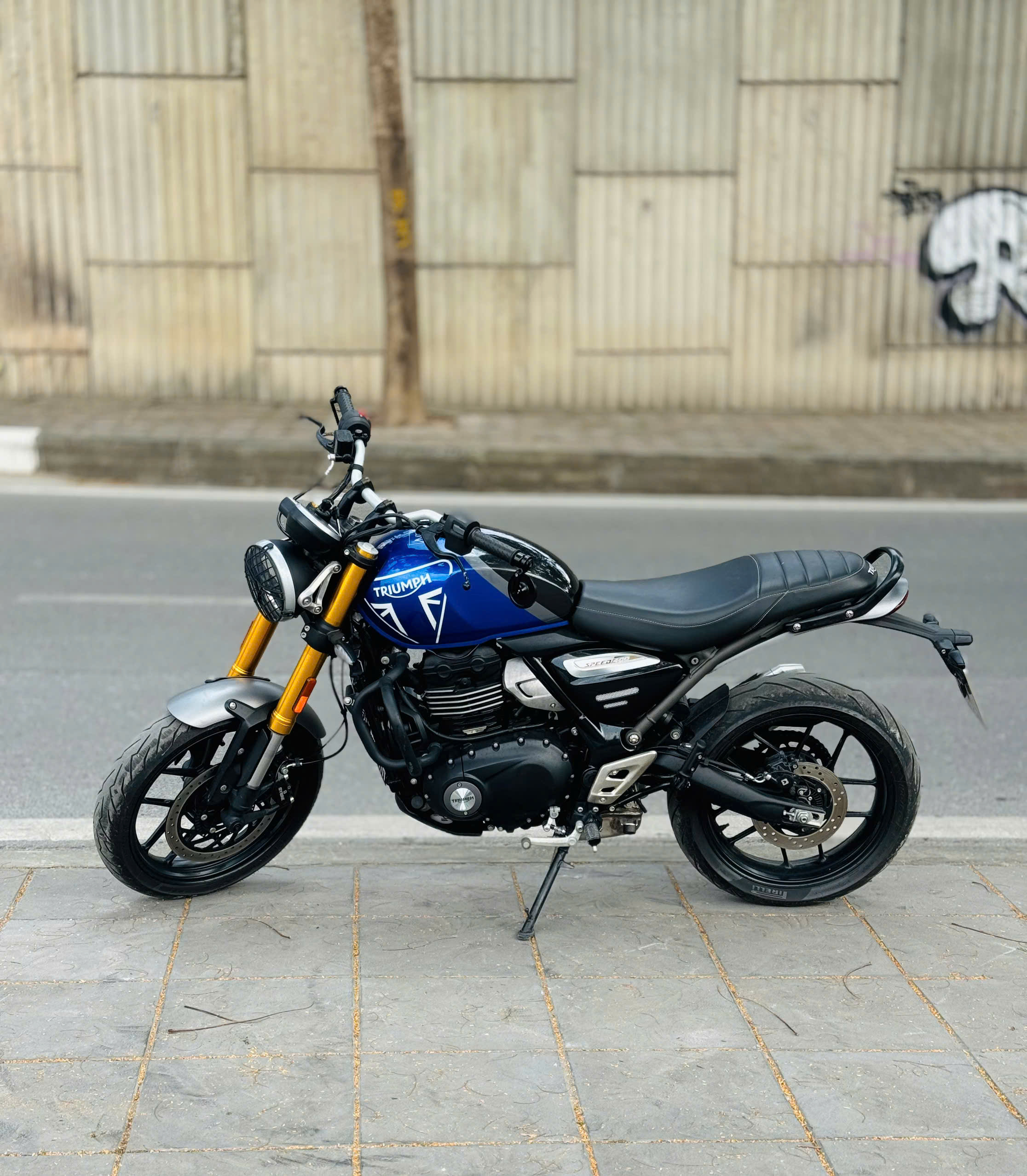 Triumph Speed 400 - 2024  29A1-240.66